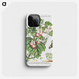 1-8_Georg-Dionysius-Ehret_phone