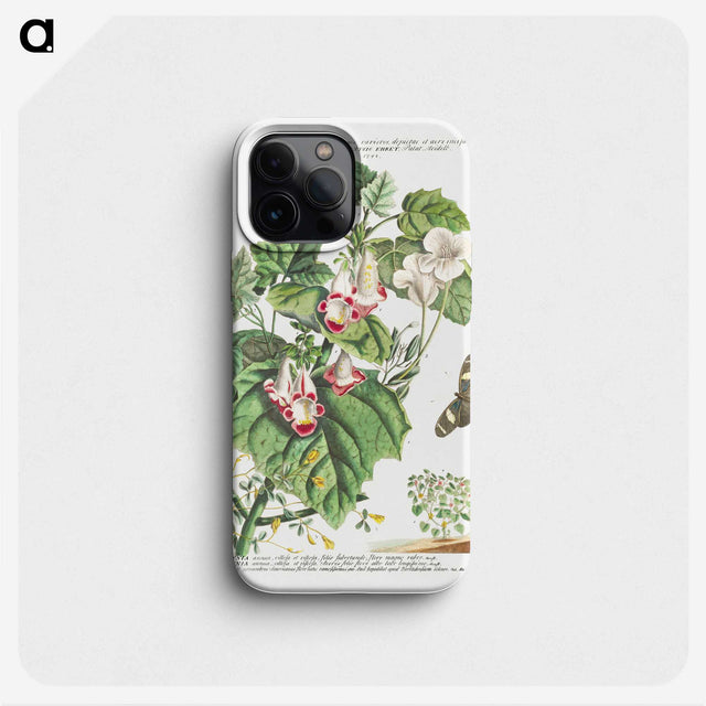 1-8_Georg-Dionysius-Ehret_phone