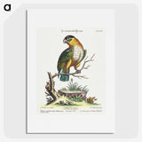 1-8_George-Edwards_picture