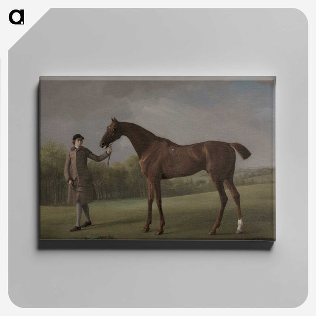 1-8_George-Stubbs_canvas