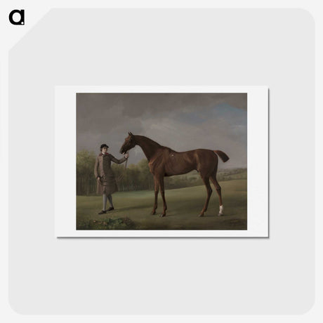 1-8_George-Stubbs_hagaki