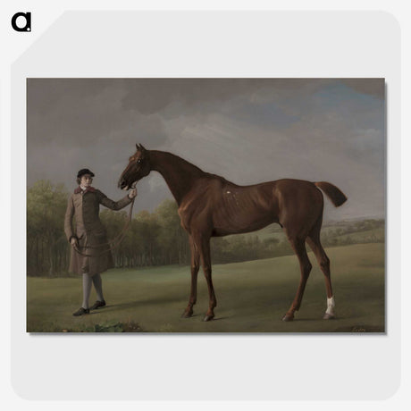 1-8_George-Stubbs_picture-crop
