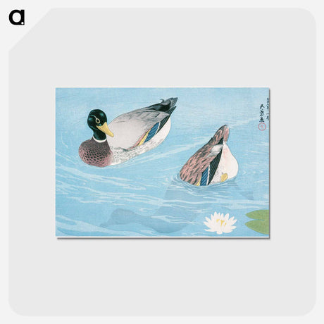 アートポストカード-Ducks
 - 橋口 五葉 Postcard.