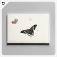 1-8_Herman-Henstenburgh_canvas