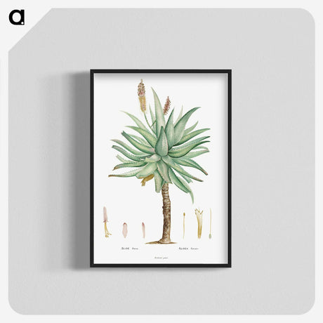 1-8_Histoire-des-Plantes-Grasses_blk-crop