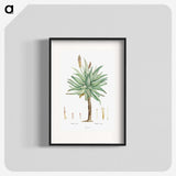 1-8_Histoire-des-Plantes-Grasses_blk