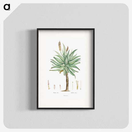 1-8_Histoire-des-Plantes-Grasses_blk