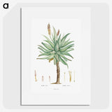1-8_Histoire-des-Plantes-Grasses_picture