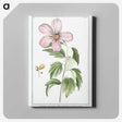 1-8_Hortus-Romanus-Botanical-Plates_canvas