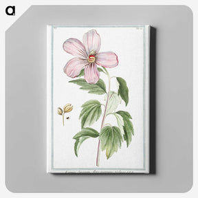 1-8_Hortus-Romanus-Botanical-Plates_canvas