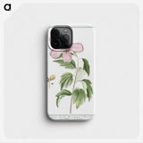 1-8_Hortus-Romanus-Botanical-Plates_phone