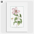 1-8_Hortus-Romanus-Botanical-Plates_picture