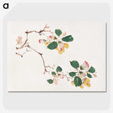 1-8_Hu-Zhengyan_picture-crop