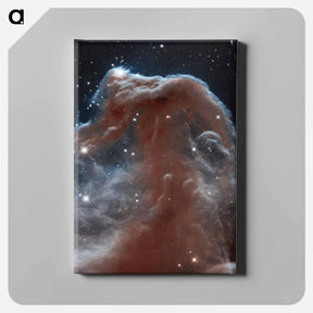 アートパネル-Horsehead Nebula Illumination
 - ハッブル画像 Canvas.