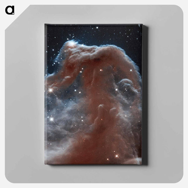 アートパネル-Horsehead Nebula Illumination
 - ハッブル画像 Canvas.