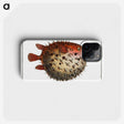 1-8_Ichtyologie-ou-Histoire-naturelle_phone