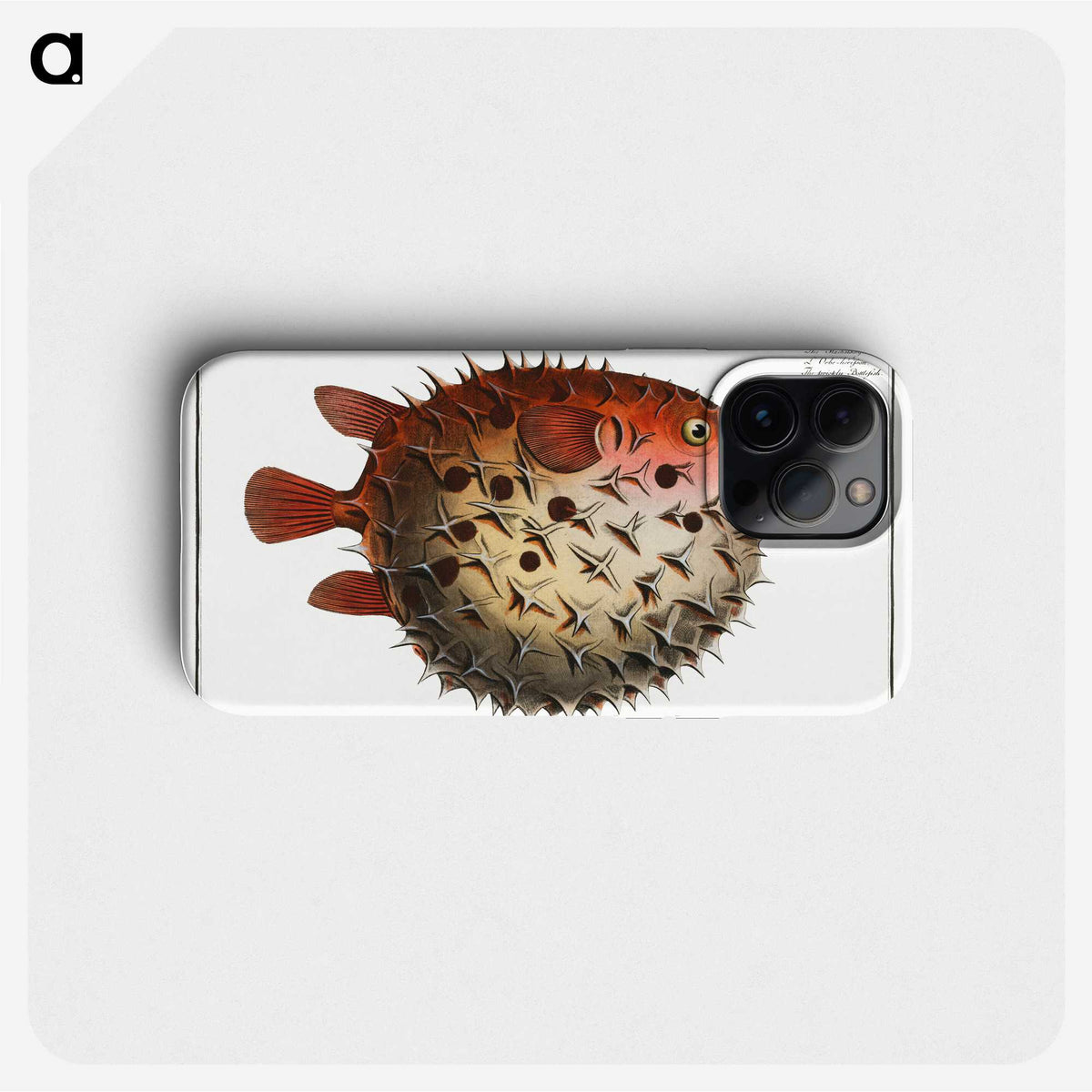 1-8_Ichtyologie-ou-Histoire-naturelle_phone