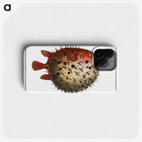 1-8_Ichtyologie-ou-Histoire-naturelle_phone