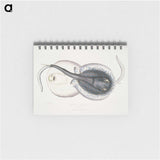 1-8_Indian-Zoology_memo