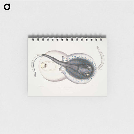 1-8_Indian-Zoology_memo