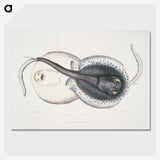 1-8_Indian-Zoology_picture-crop