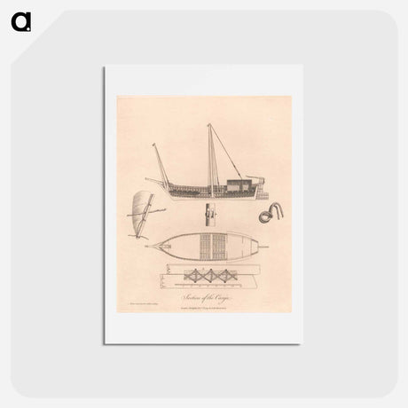 アートポストカード-Canja Section
 - ジェームス ヒース Postcard.