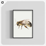1-8_Jan-Van-Kessel_blk-crop