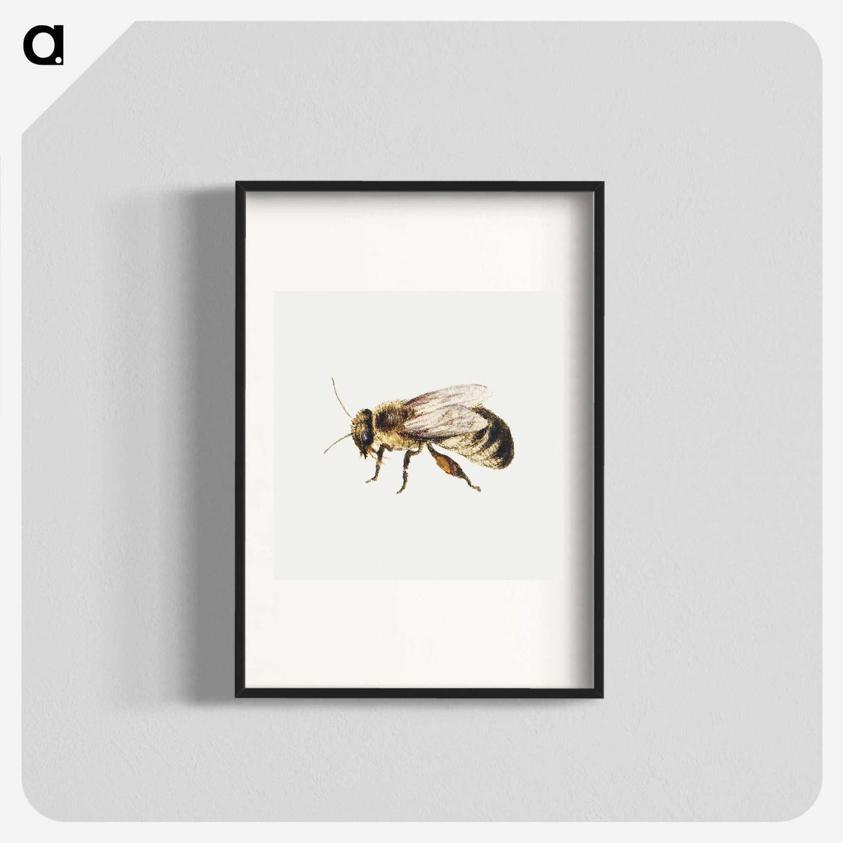 1-8_Jan-Van-Kessel_blk