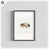 1-8_Jan-Van-Kessel_blk
