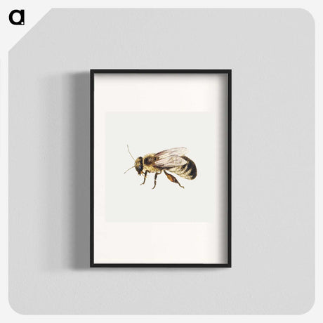 1-8_Jan-Van-Kessel_blk
