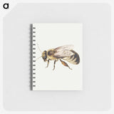 1-8_Jan-Van-Kessel_memo