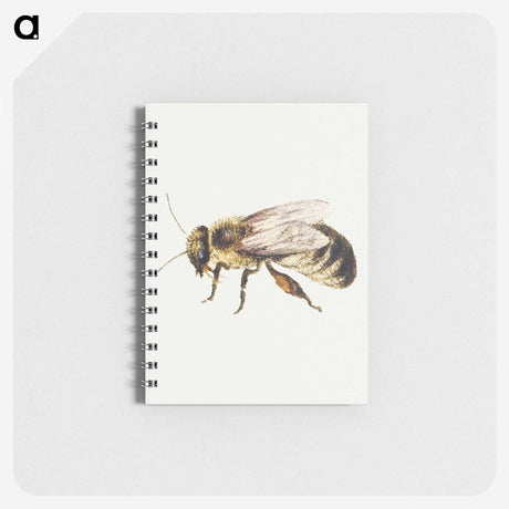 1-8_Jan-Van-Kessel_memo