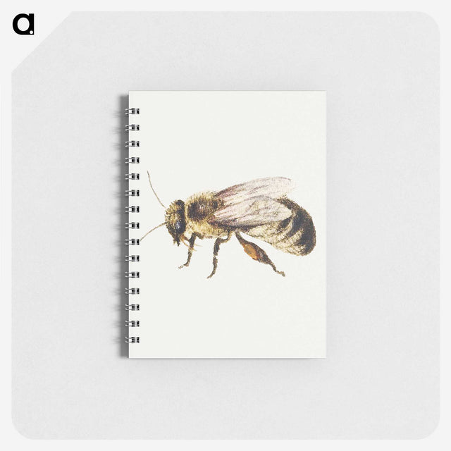 1-8_Jan-Van-Kessel_memo