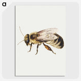 1-8_Jan-Van-Kessel_picture-crop