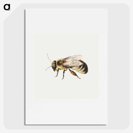 1-8_Jan-Van-Kessel_picture