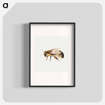 Bee from Sheet of Studies of Nine Insects
 - ヤン ファン ケッセル Poster.