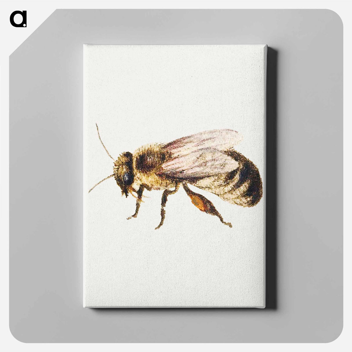 アートパネル-Bee from Sheet of Studies of Nine Insects
 - ヤン ファン ケッセル Canvas.