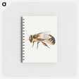 アートメモ帳-Bee from Sheet of Studies of Nine Insects
 - ヤン ファン ケッセル Memo.