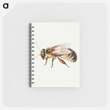 アートメモ帳-Bee from Sheet of Studies of Nine Insects
 - ヤン ファン ケッセル Memo.