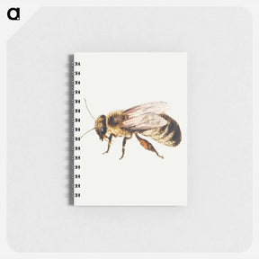 アートメモ帳-Bee from Sheet of Studies of Nine Insects
 - ヤン ファン ケッセル Memo.