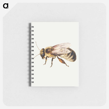 アートメモ帳-Bee from Sheet of Studies of Nine Insects
 - ヤン ファン ケッセル Memo.