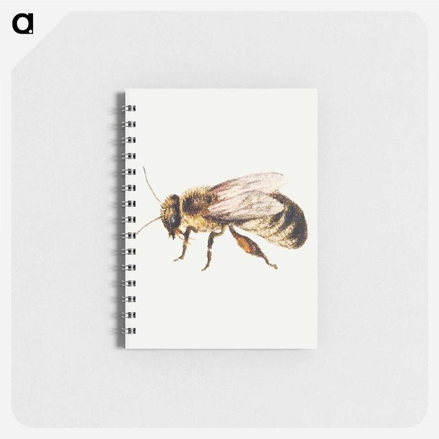 アートメモ帳-Bee from Sheet of Studies of Nine Insects
 - ヤン ファン ケッセル Memo.