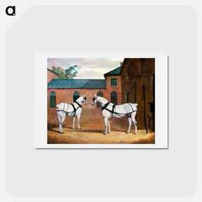 アートポストカード-Grey Carriage Horses at Putteridge Bury
 - ジョン フレデリック ヘリング Postcard.