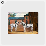 Grey Carriage Horses at Putteridge Bury
 - ジョン フレデリック ヘリング Postcard.