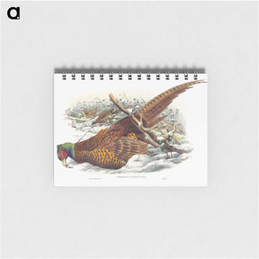 1-8_John-Gould_memo