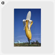 1-8_John-Margolies_postcard