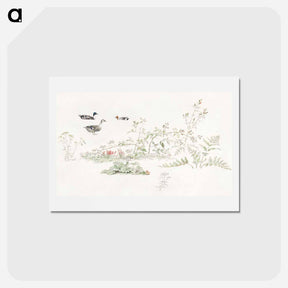 アートポストカード-Plants and Waterfowl
 - ジョセフス アウグストゥス クニップ Postcard.