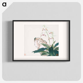 アートポスター-Insects and Flowers
 - ジュ リアン Poster.