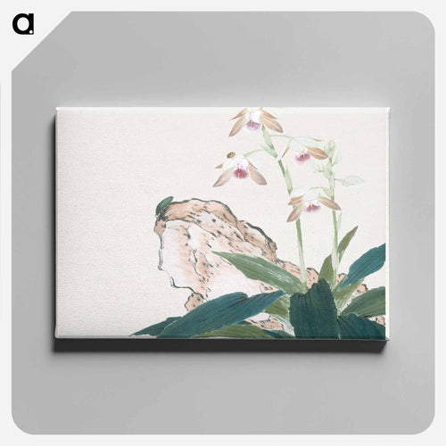 Insects and Flowers
 - ジュ リアン Canvas.