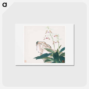 アートポストカード-Insects and Flowers
 - ジュ リアン Postcard.